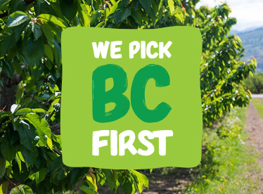 We Pick BC First logo