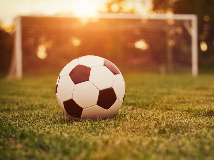 soccer ball and goal